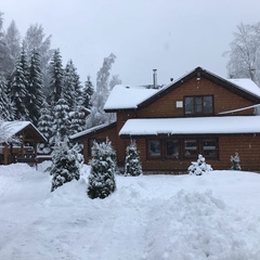 Коттедж Лебедь , Выборгский район, Ленинградская область