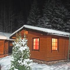 Коттедж Лебедь , Выборгский район, Ленинградская область