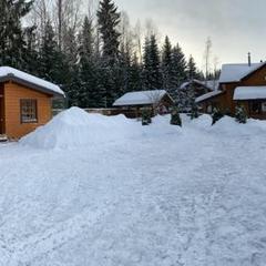 Коттедж Лебедь , Выборгский район, Ленинградская область