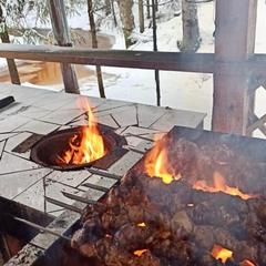 Коттедж Лебедь , Выборгский район, Ленинградская область