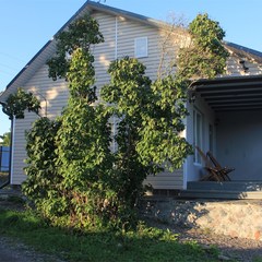 Туристическая база Sumeria House Karelia, Питкярантский район, Республика Карелия