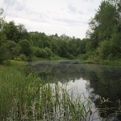 Туристическая база Sumeria House Karelia, Питкярантский район, Республика Карелия