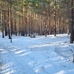 Глэмпинг Сота Парк, Тюмень, Тюменская область
