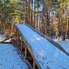 Глэмпинг Сота Парк, Тюмень, Тюменская область