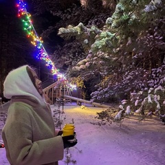Глэмпинг Сота Парк, Тюмень, Тюменская область