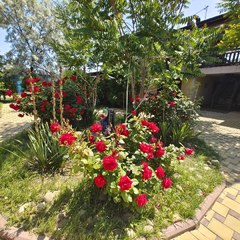 Парк-отель Благовещенка, Анапа, Краснодарский край