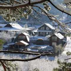 Гостевой дом Речной Оазис, Чемальский район, Республика Алтай