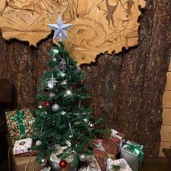 Гостевой дом Речной Оазис, Чемальский район, Республика Алтай