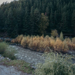 Гостевой дом Речной Оазис, Чемальский район, Республика Алтай