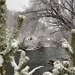 Гостевой дом Речной Оазис, Чемальский район, Республика Алтай