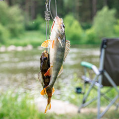 Гостевой дом КигачОК, Красноярский район, Астраханская область