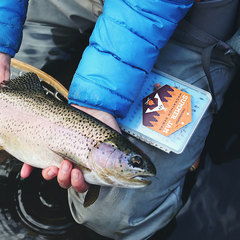 Гостевой дом КигачОК, Красноярский район, Астраханская область