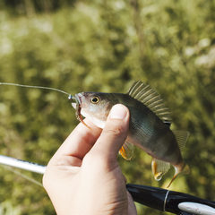 Гостевой дом КигачОК, Красноярский район, Астраханская область