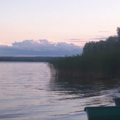 База отдыха Pine House, Шигонский район, Самарская область