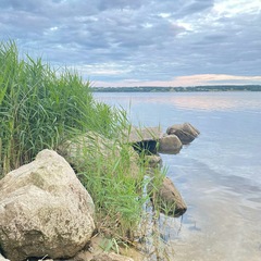 База отдыха Pine House, Шигонский район, Самарская область