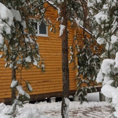 База отдыха Pine House, Шигонский район, Самарская область