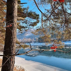 Загородный отель ETNICA, Алтайский район, Алтайский край