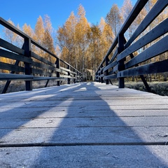 Эко-отель Шепот, Заокский район, Тульская область