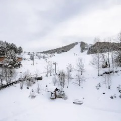 База семейного отдыха Шале Яковка, Белокуриха, Республика Алтай