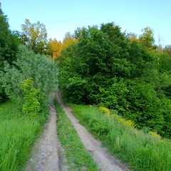 Парк-отель Три Медведя, Верхнеуслонский район, Татарстан