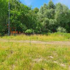 Парк-отель Три Медведя, Верхнеуслонский район, Татарстан