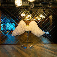 Загородный дом Par & Palace, Красногорск, Московская область