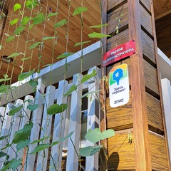 Усадьба Цвет папоротника , поселок Катунь, Алтайский край