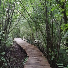 Глэмпинг Матерра, Тульская область