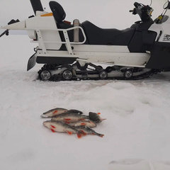 Рыболовная база Камский бережок , Камское Устье, Татарстан