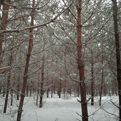 Гостевой дом Домик с баней, Красноярский район, Самарская область