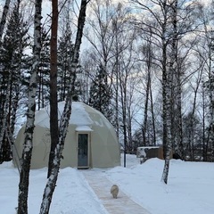 Глэмпинг Астрале Парк, Рязанский район, Рязанская область
