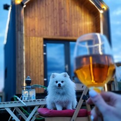 Глэмпинг Petrushka.Просторы, Раменский район, Московская область