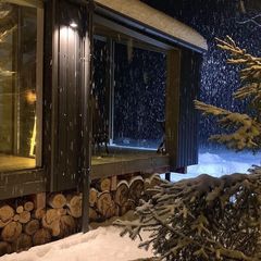 Гостевой дом Медовое Форест, Дмитровский район, Московская область