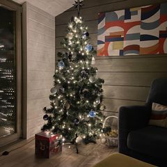 Гостевой дом Медовое Форест, Дмитровский район, Московская область