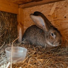 Загородный комплекс Farm&Village, Рамонский район, Воронежская область