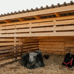 Загородный комплекс Farm&Village, Рамонский район, Воронежская область