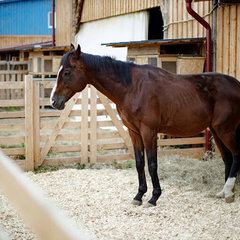 Загородный комплекс Farm&Village, Рамонский район, Воронежская область