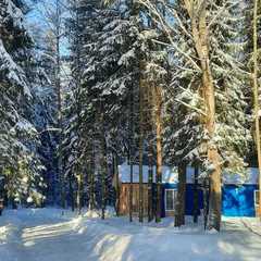 Клуб отдыха Грин форест (Green Forest), Конаковский район, Тверская область