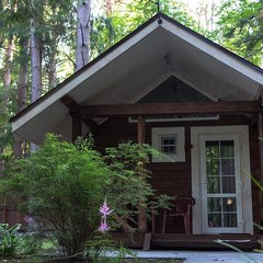 Клуб отдыха Грин форест (Green Forest), Конаковский район, Тверская область
