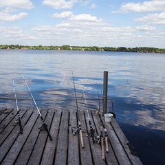 Клуб отдыха Грин форест (Green Forest), Конаковский район, Тверская область