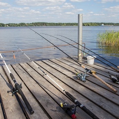 Клуб отдыха Грин форест (Green Forest), Конаковский район, Тверская область