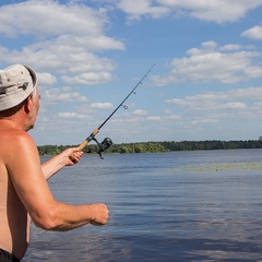 Клуб отдыха Грин форест (Green Forest), Конаковский район, Тверская область