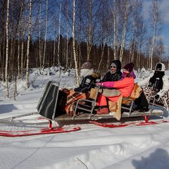 Клуб отдыха Грин форест (Green Forest), Конаковский район, Тверская область