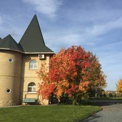 База отдыха Старый замок, Энгельсский район, Саратовская область