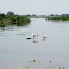 База отдыха Старый замок, Энгельсский район, Саратовская область