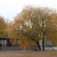 База отдыха Старый замок, Энгельсский район, Саратовская область