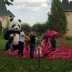 База отдыха Старый замок, Энгельсский район, Саратовская область