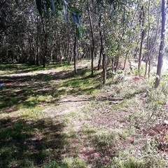 База отдыха Звезда на Ахтубе, Харабалинский район, Астраханская область