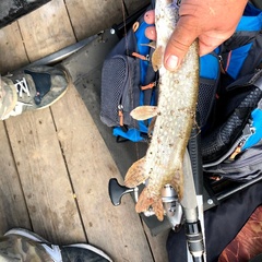 База отдыха Звезда на Ахтубе, Харабалинский район, Астраханская область