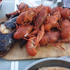 База отдыха Звезда на Ахтубе, Харабалинский район, Астраханская область